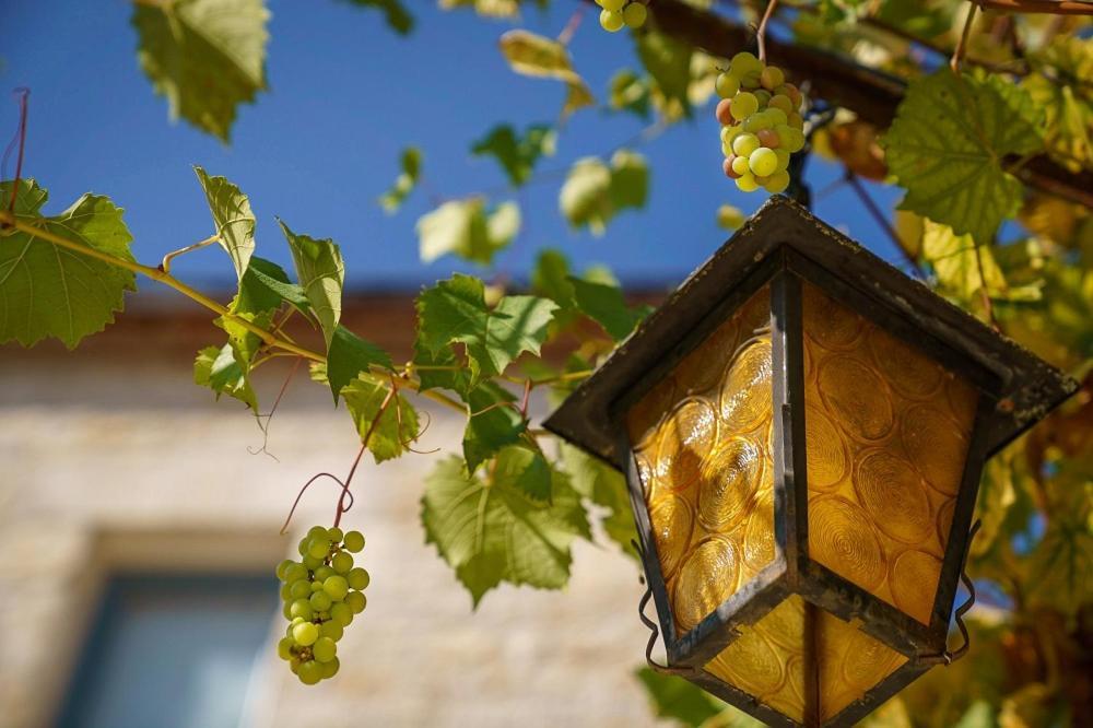 Chateau Du Raysse Villa Cazoules Esterno foto